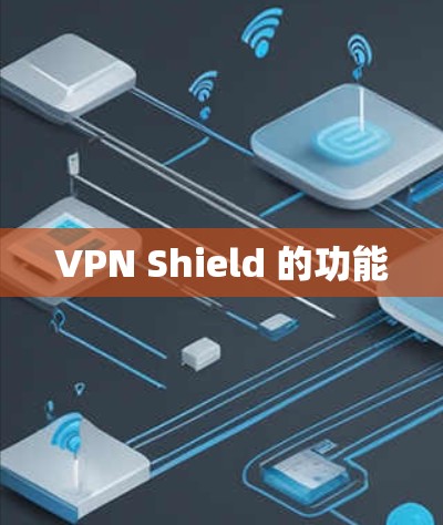 VPN Shield 的功能