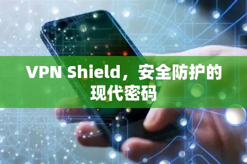 VPN Shield,安全防护的现代密码 VPN Shield,安全防护的现代密码
