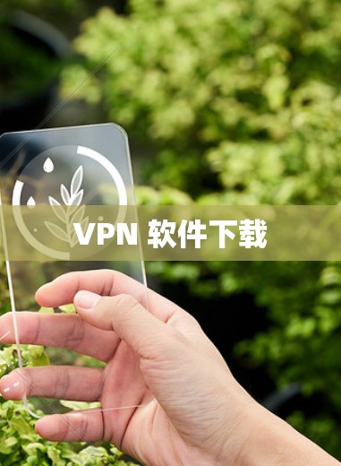 VPN 软件下载 VPN 软件下载