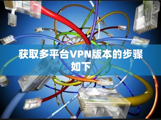 获取多平台VPN版本的步骤如下