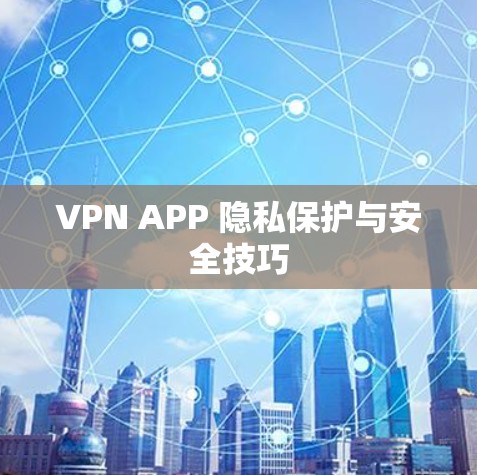 VPN APP 隐私保护与安全技巧 VPN APP 隐私保护与安全技巧
