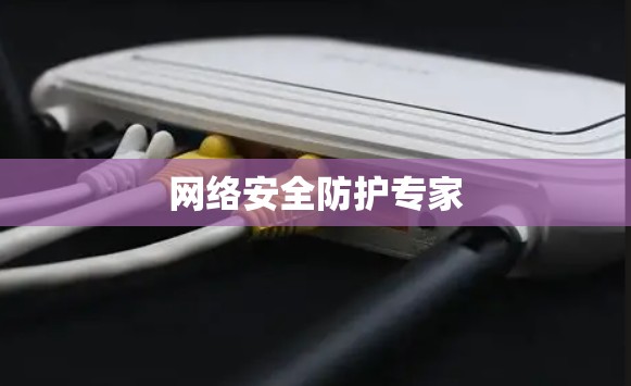 网络安全防护专家
