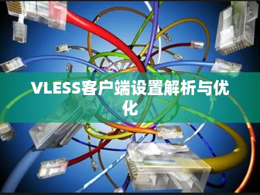 VLESS客户端设置解析与优化 VLESS客户端设置解析与优化