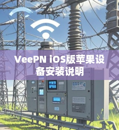 VeePN iOS版苹果设备安装说明 VeePN iOS版苹果设备安装说明