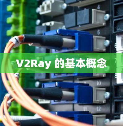 V2Ray 的基本概念 V2Ray 的基本概念