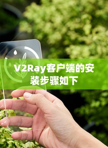 V2Ray客户端的安装步骤如下 V2Ray客户端的安装步骤如下