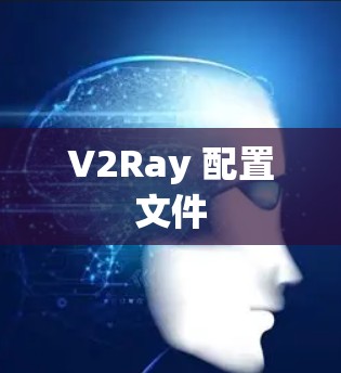 V2Ray 配置文件 V2Ray 配置文件