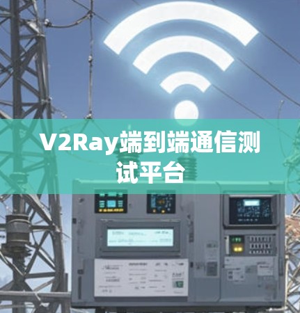 V2Ray端到端通信测试平台 V2Ray端到端通信测试平台