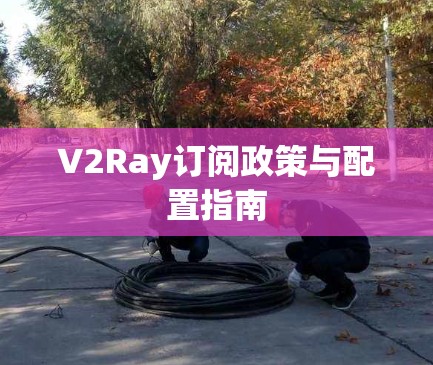 V2Ray订阅政策与配置指南