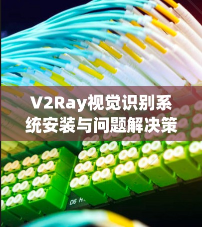 V2Ray视觉识别系统安装与问题解决策略