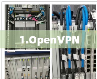 1.OpenVPN 1.OpenVPN
