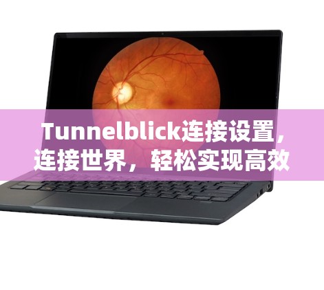 Tunnelblick连接设置，连接世界，轻松实现高效通信