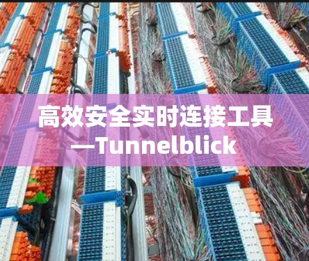 高效安全实时连接工具—Tunnelblick 高效安全实时连接工具—Tunnelblick