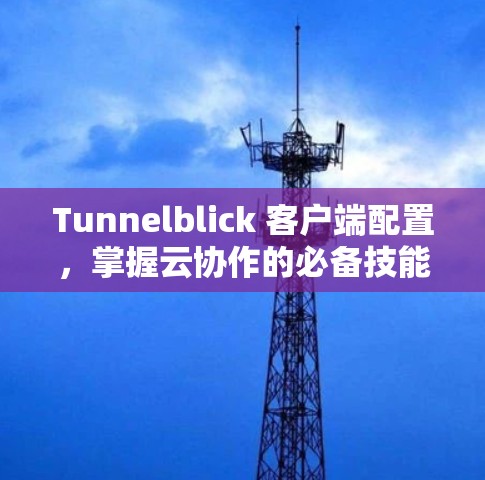 Tunnelblick 客户端配置,掌握云协作的必备技能 Tunnelblick 客户端配置,掌握云协作的必备技能