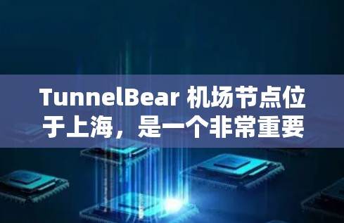 TunnelBear 机场节点位于上海，是一个非常重要的机场节点，通常需要处理大量数据和高并发请求。因此，选择合适的高速服务器是非常重要的。以下是几个常用的高速服务器推荐平台及其特点，供您参考