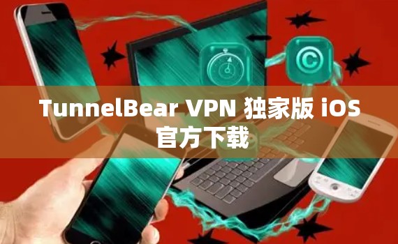 TunnelBear VPN 独家版 iOS 官方下载 TunnelBear VPN 独家版 iOS 官方下载