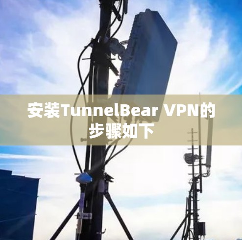 安装TunnelBear VPN的步骤如下 安装TunnelBear VPN的步骤如下