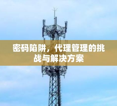 密码陷阱,代理管理的挑战与解决方案 密码陷阱,代理管理的挑战与解决方案