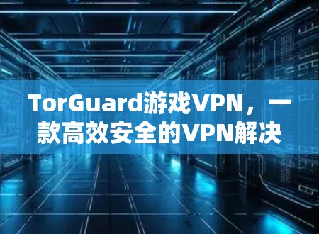 TorGuard游戏VPN,一款高效安全的VPN解决方案 TorGuard游戏VPN,一款高效安全的VPN解决方案