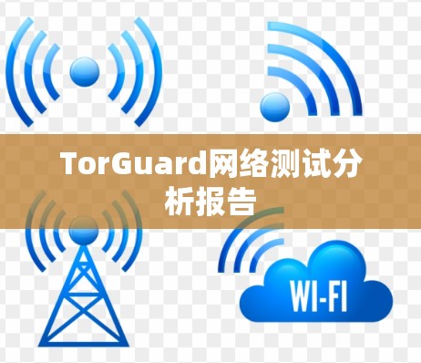 TorGuard网络测试分析报告