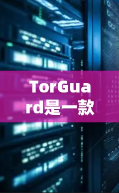 TorGuard是一款免费的翻墙软件，旨在帮助用户在互联网安全方面提供可靠的服务。以下是关于 TorGuard 的详细分析