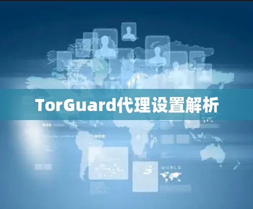 TorGuard代理设置解析 TorGuard代理设置解析