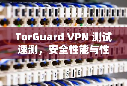 TorGuard VPN 测试速测，安全性能与性能优化详解