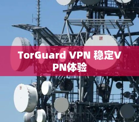 TorGuard VPN 稳定VPN体验 TorGuard VPN 稳定VPN体验