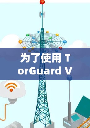 为了使用 TorGuard VPN 软件，您可以按照以下步骤进行