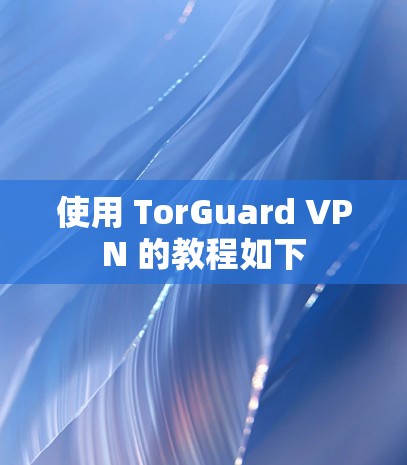 使用 TorGuard VPN 的教程如下 使用 TorGuard VPN 的教程如下
