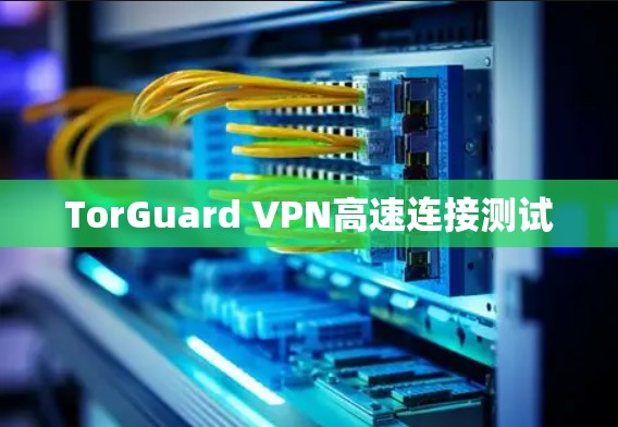 TorGuard VPN高速连接测试 TorGuard VPN高速连接测试