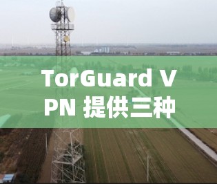 TorGuard VPN 提供三种安全模式，分别为Basic、Pro和Premium，每个模式在加密、备份和资源需求上各有差异。以下是对三个模式的详细介绍
