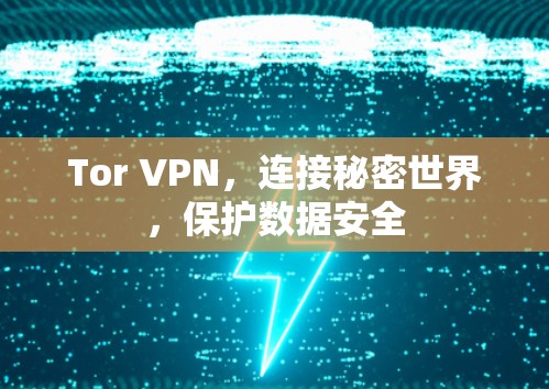 Tor VPN,连接秘密世界,保护数据安全 Tor VPN,连接秘密世界,保护数据安全