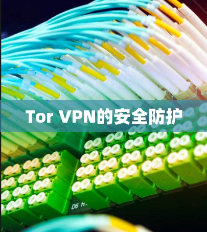 Tor VPN的安全防护 Tor VPN的安全防护
