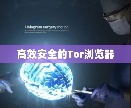 高效安全的Tor浏览器 高效安全的Tor浏览器