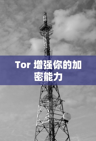Tor 增强你的加密能力
