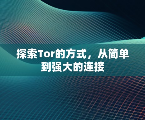 探索Tor的方式，从简单到强大的连接