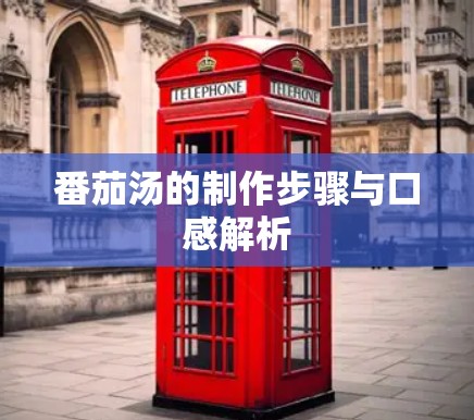 番茄汤的制作步骤与口感解析 番茄汤的制作步骤与口感解析