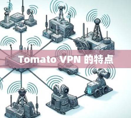 Tomato VPN 的特点 Tomato VPN 的特点