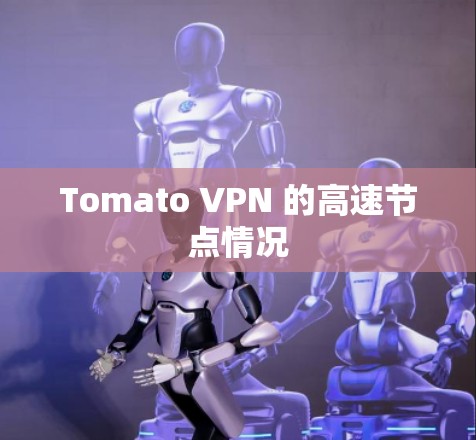 Tomato VPN 的高速节点情况 Tomato VPN 的高速节点情况