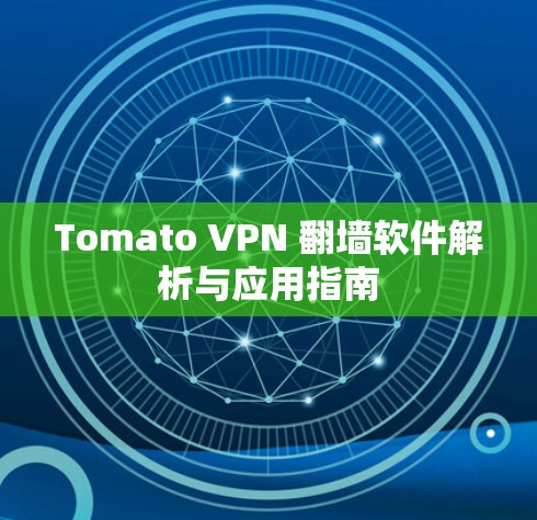 Tomato VPN 翻墙软件解析与应用指南 Tomato VPN 翻墙软件解析与应用指南