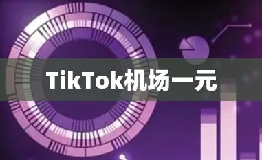 TikTok机场一元 TikTok机场一元