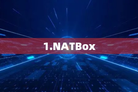 1.NATBox 1.NATBox