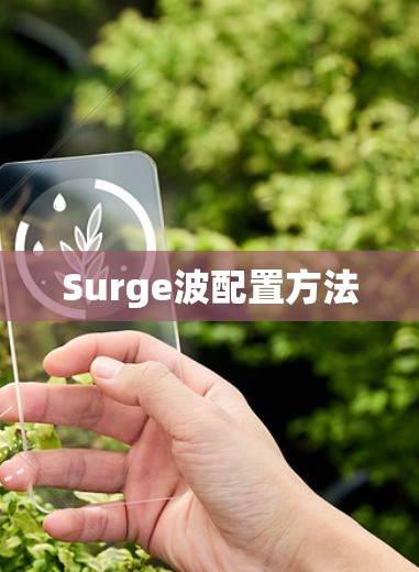 Surge波配置方法 Surge波配置方法