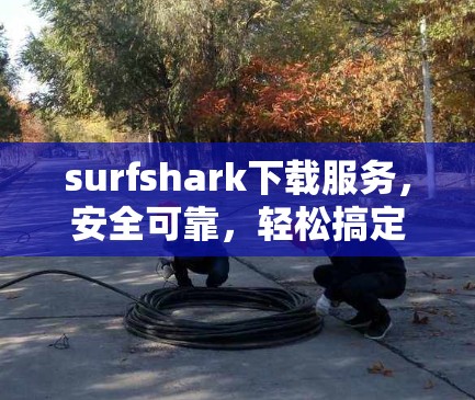 surfshark下载服务，安全可靠，轻松搞定文件下载