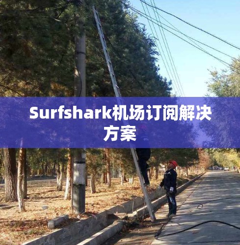 Surfshark机场订阅解决方案 Surfshark机场订阅解决方案
