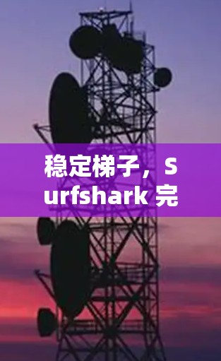稳定梯子,Surfshark 完美翻墙工具 稳定梯子,Surfshark 完美翻墙工具