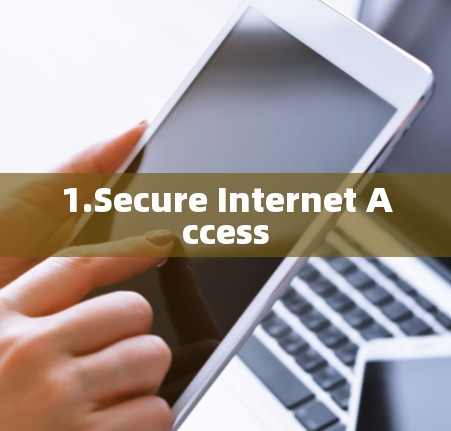 1.Secure Internet Access