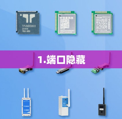 1.端口隐藏