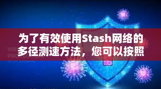 为了有效使用Stash网络的多径测速方法，您可以按照以下步骤操作